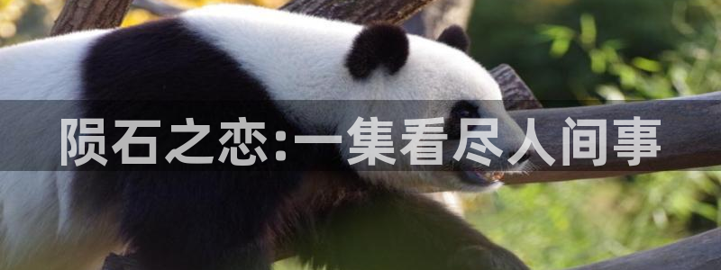 漫蛙manwaapp：陨石之恋:一集看尽人间事