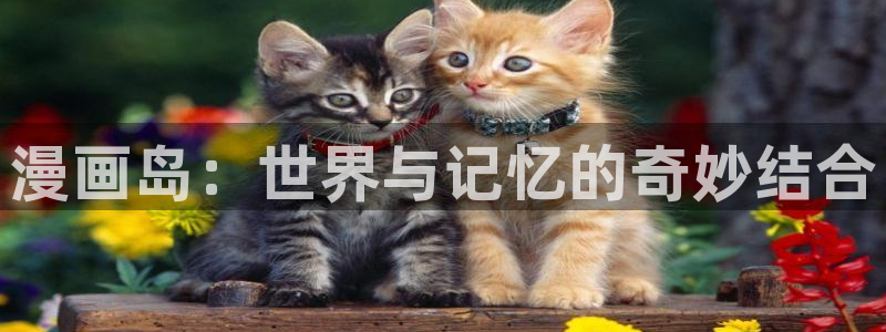 漫蛙manwa防走失站安卓版：漫画岛：世界与记忆的奇妙结合