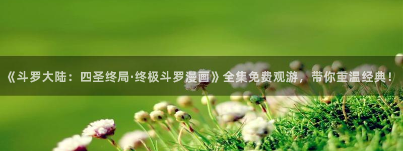 manwa漫蛙防走失站跳转